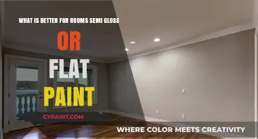 Semi-Gloss vs. Flat Paint: Which Finish is Best for Your Room?