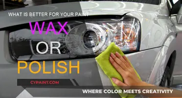 Wax vs. Polish: Which is the Best Option for Your Car?