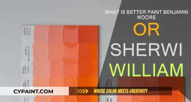 Benjamin Moore vs. Sherwin Williams: Which Paint is Superior?