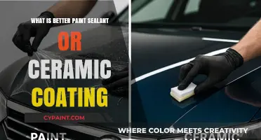 Paint Sealant vs. Ceramic Coating: Which Protects Your Car Better?