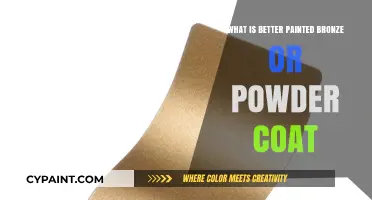 Painted Bronze vs. Powder Coat: Which Finish Suits Your Style Best?