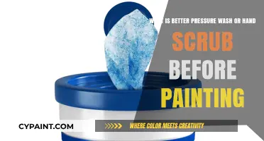 Prepping Perfection: Pressure Wash vs Hand Scrub Before Painting