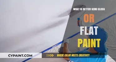 Semi-Gloss vs. Flat Paint: Which Finish Suits Your Space Best?