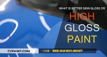 Gloss Paint: Semi or High Shine?