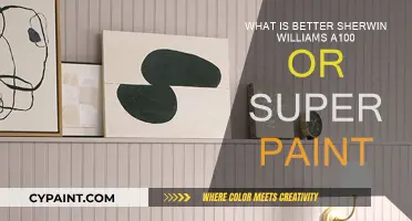 Sherwin Williams A100 vs Super Paint: Which is Superior?