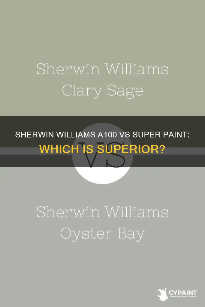 what is better sherwin williams a100 or super paint