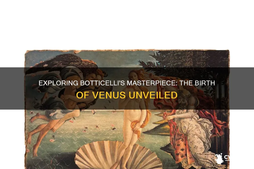 what is botticelli