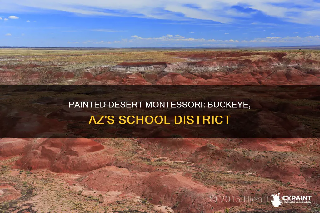 what is buckeye az painted desert montessori school district