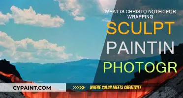 Christo's Art: Wrapping, Sculpting, Painting, Photography