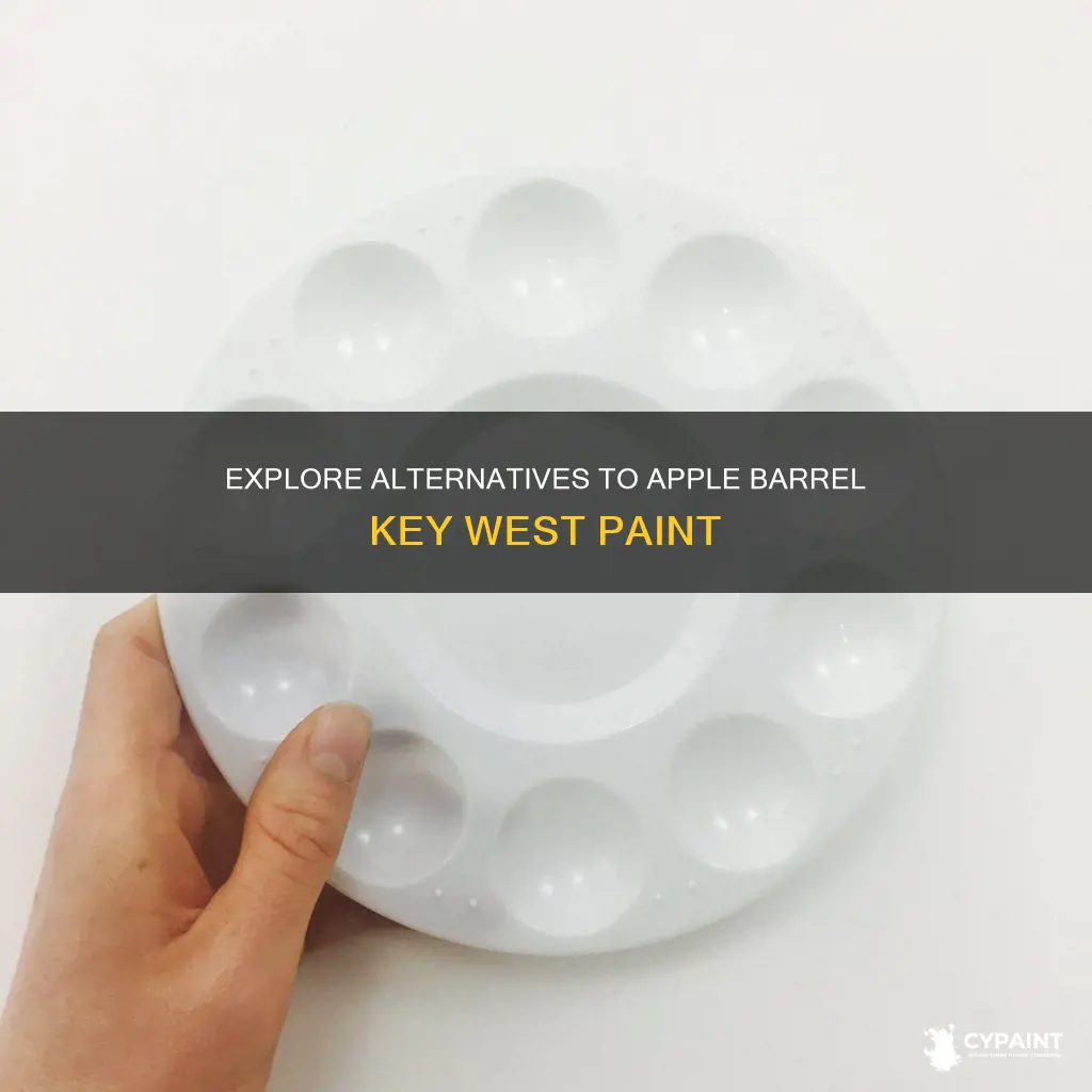 what is comparable to apple barrel key west paint