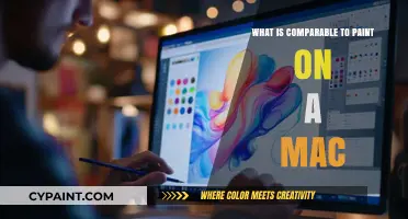 Top Mac-Friendly Alternatives to Paint for Creative Design Needs