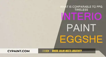 Best Alternatives to PPG Timeless Interior Paint Eggshell