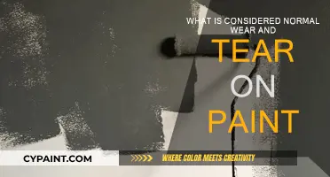 Understanding Normal Wear and Tear on Paint