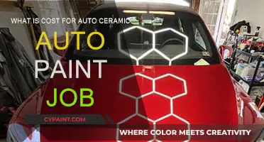 Ceramic Auto Paint Job: How Much Does It Cost?