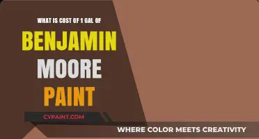 Exploring the Price Tag: Benjamin Moore Paint by the Gallon