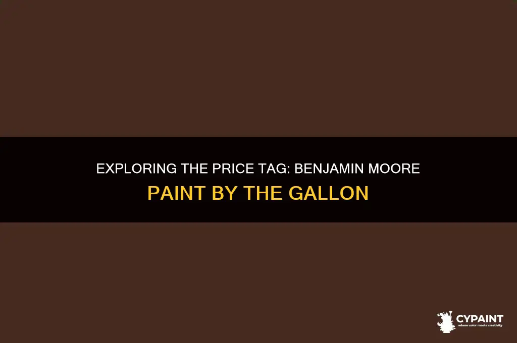 what is cost of 1 gal of benjamin moore paint