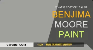 Benjamin Moore Paint: How Much Does One Gallon Cost?