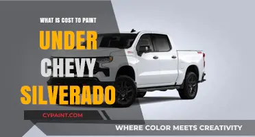 How Much Does Painting Under a Chevy Silverado Cost?