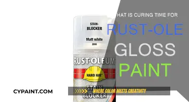 Rust-Oleum Gloss Paint: How Long to Cure?
