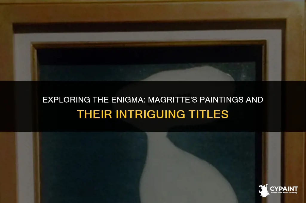 what is curious about the titles of magritte