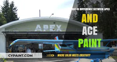 Apex vs. Ace Paint: Key Differences and Best Uses Explained