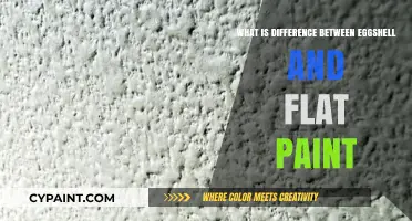 Eggshell vs. Flat Paint: Key Differences and Best Uses Explained