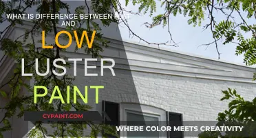 Flat vs Low Luster Paint: Finish and Shine