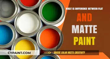 Flat vs. Matte Paint: Understanding the Key Differences and Best Uses
