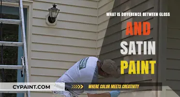 Gloss vs. Satin Paint: Understanding the Key Differences and Best Uses