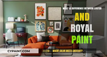 Luster vs. Royal Paint: Key Differences and Best Uses Explained
