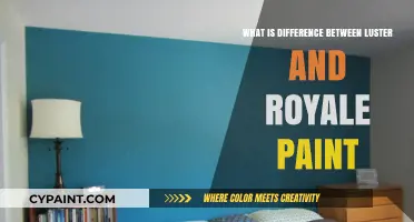 Luster vs. Royale Paint: Key Differences and Best Uses Explained