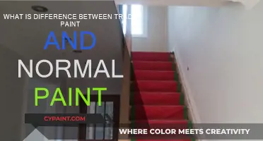 Trade Paint vs Regular Paint: What's the Difference?