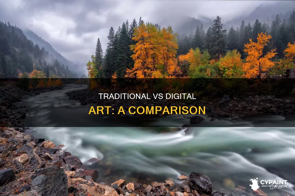 what is difference between traditional painting or digial painting