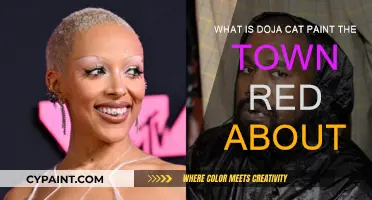 Doja Cat's 'Paint the Town Red' Explained