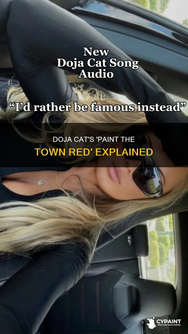 what is doja cat paint the town red about
