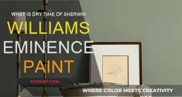 Eminence Paint: Dry Time and Application Tips
