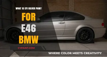 Understanding EFI Silver Paint for BMW E46: Uses and Benefits