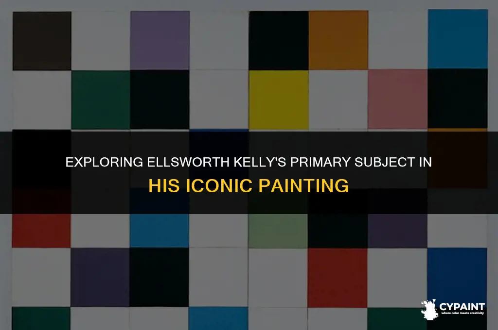 what is ellsworth kelly