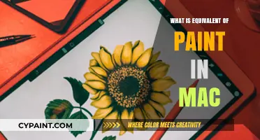 Mac's Creative Alternative: Discovering the Equivalent of Paint on macOS