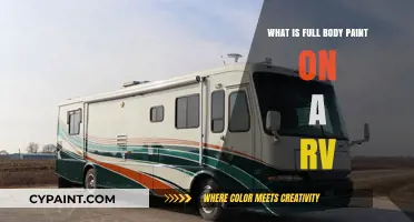 Understanding Full Body Paint on RVs: Benefits, Process, and Maintenance Tips