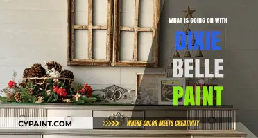 Dixie Belle Paint: Unraveling the Latest Buzz and Updates