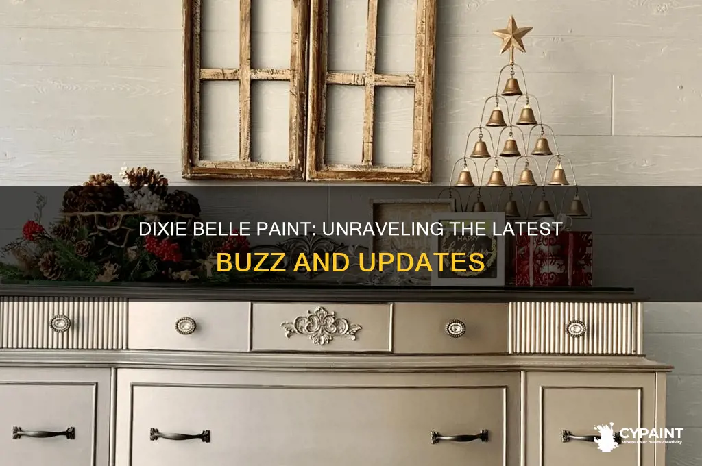 what is going on with dixie belle paint