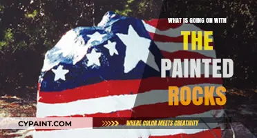 Painted Rocks Mystery: Uncovering the Trend and Its Impact