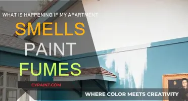 How to Identify and Address Paint Fumes in Your Apartment