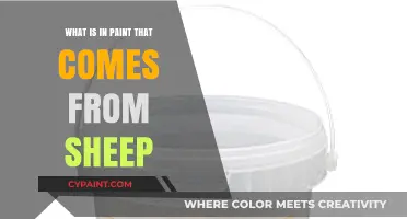 Sheep's Secret: Unveiling the Wool-Derived Ingredient in Paint