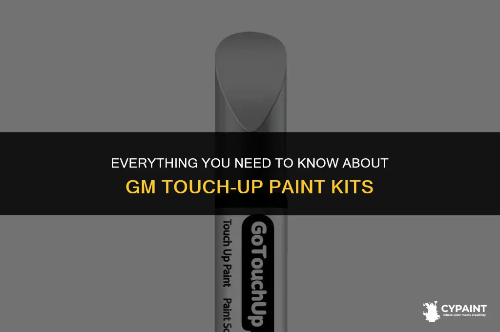 what is included in a gm touch up paint kit