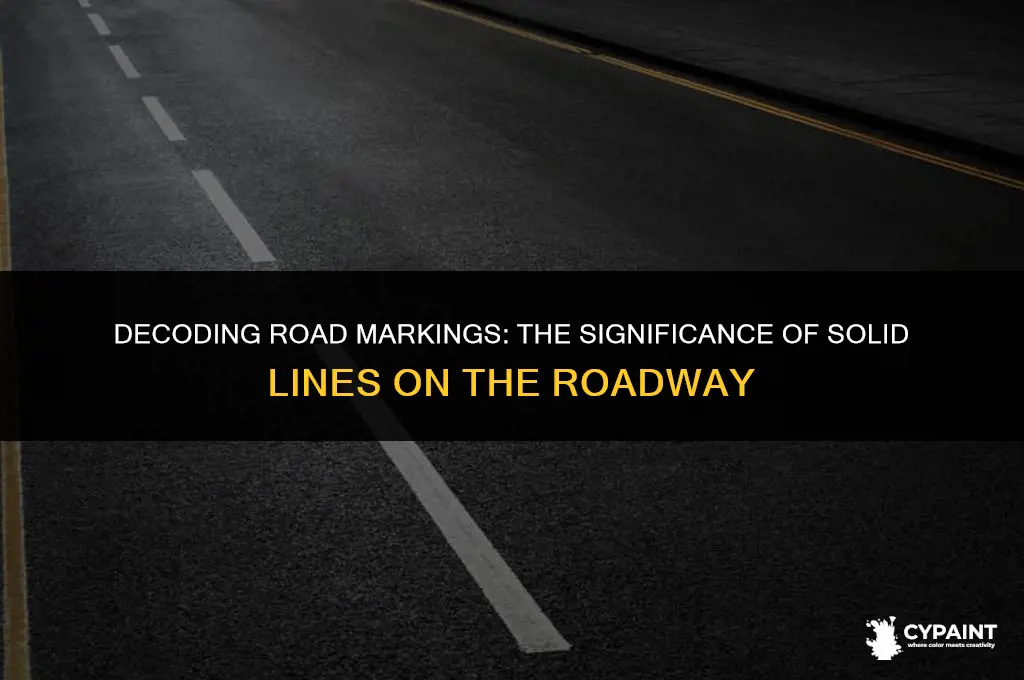 what is indicated by solid lines painted on the roadway