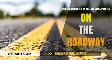 Decoding Road Safety: The Significance of Yellow Lines on Roadways