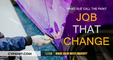 The Magic of Color-Changing Car Paint Jobs