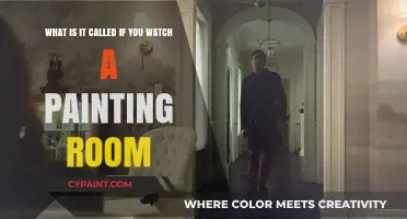 Exploring the Art of Observation: A Room Watcher's Guide
